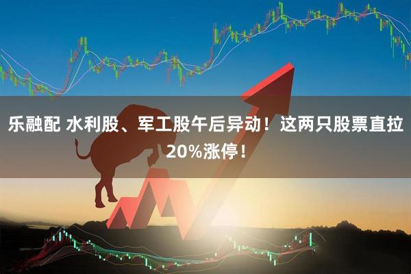 乐融配 水利股、军工股午后异动！这两只股票直拉20%涨停！