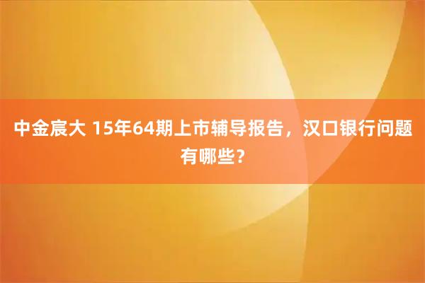 中金宸大 15年64期上市辅导报告，汉口银行问题有哪些？