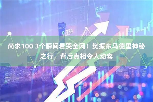 尚求100 3个瞬间看哭全网！樊振东马德里神秘之行，背后真相令人动容