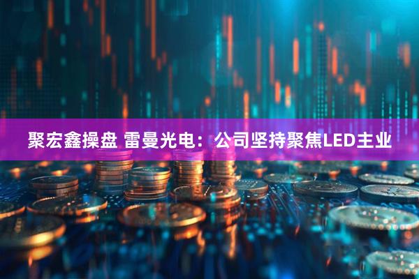 聚宏鑫操盘 雷曼光电：公司坚持聚焦LED主业